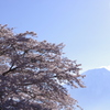 富士山と満開の桜