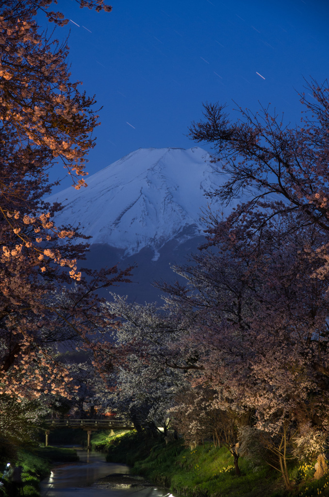 春の小川と富士の山