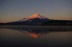 紅富士。。。