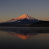 紅富士。。。