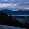 雪の茶畑と雲海と