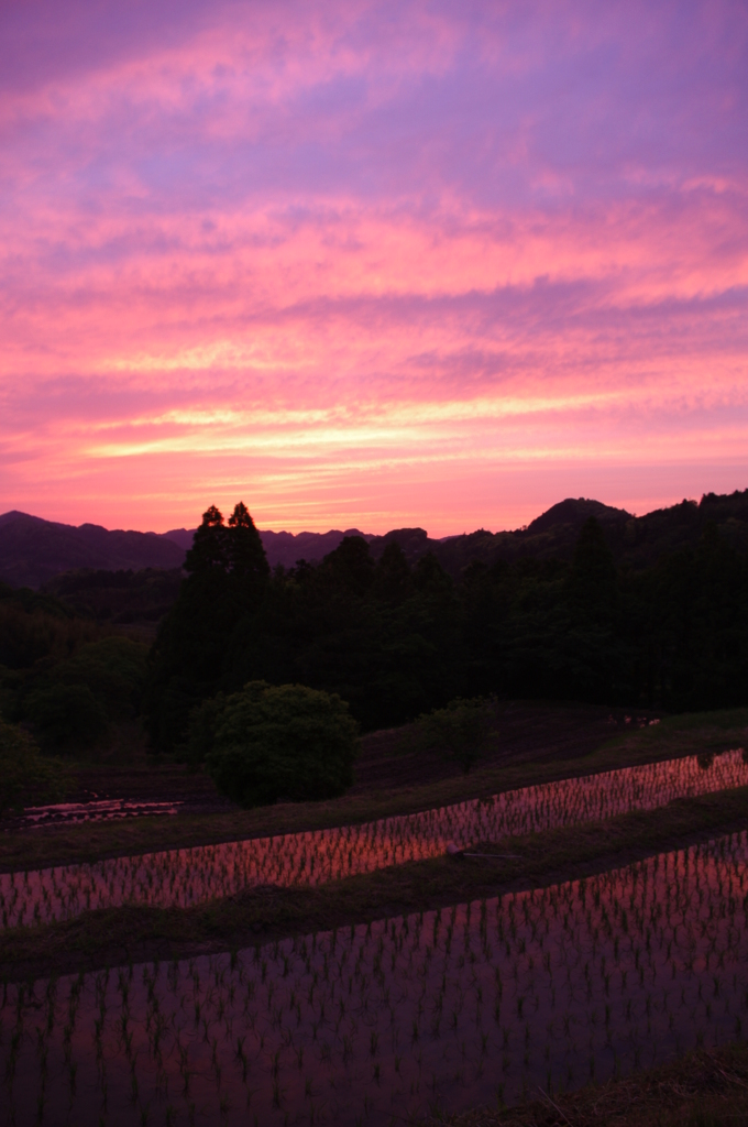 夕焼けと棚田