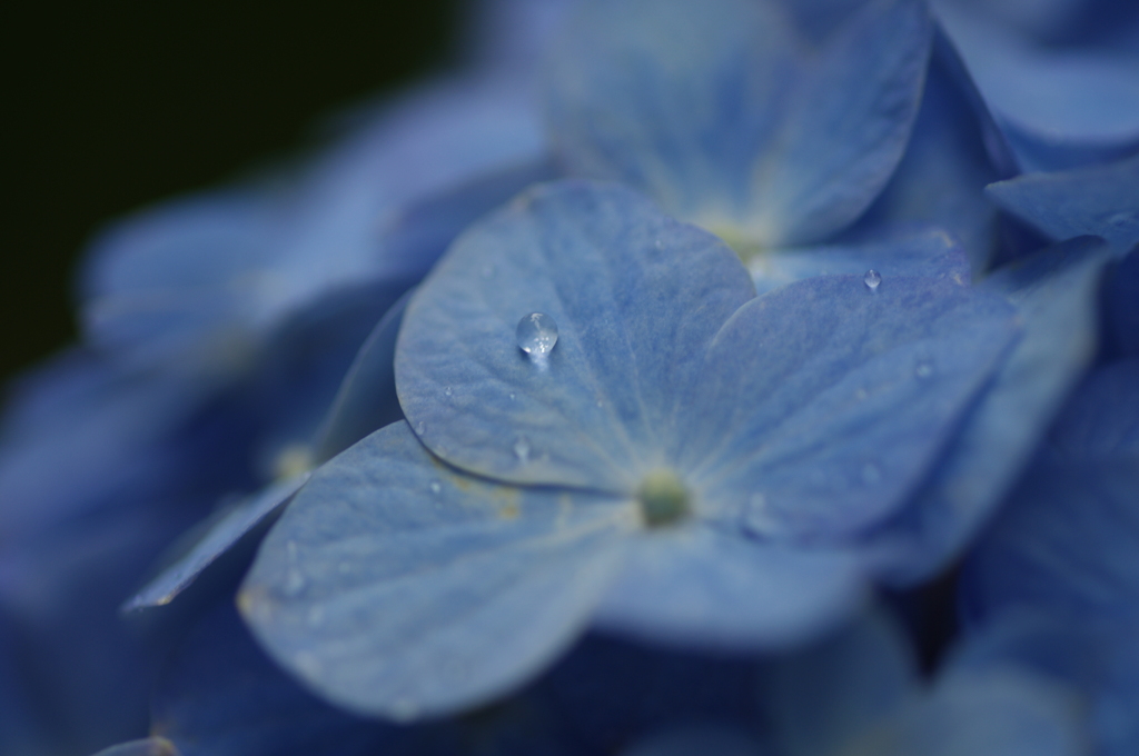 雨粒