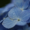 雨粒
