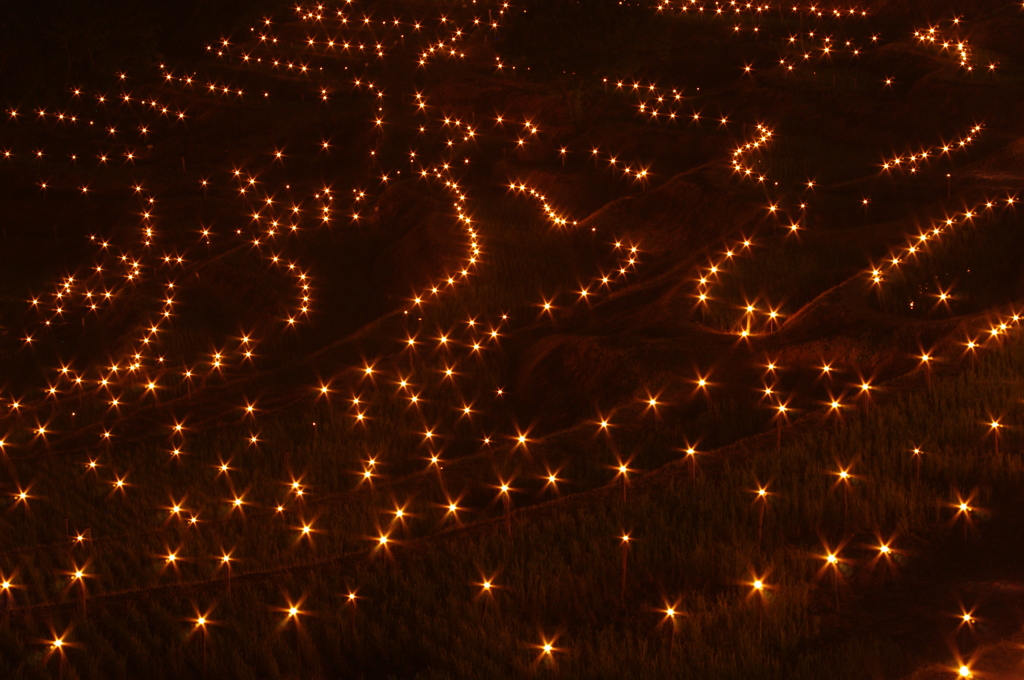 棚田の夜祭