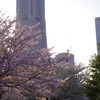 IMGP2458