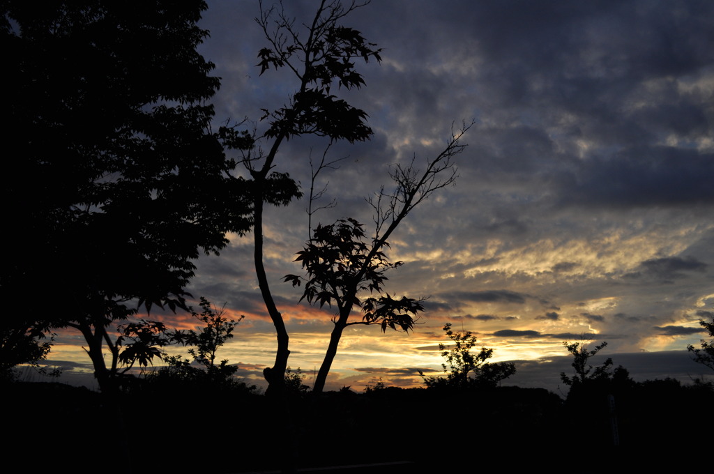 夏の夕日