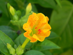DSCN1268