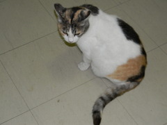 DSCN1367