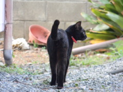 DSCN1316