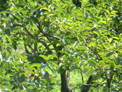 DSCN1182