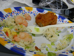 DSCN0959