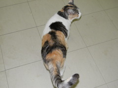 DSCN1369