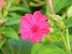 DSCN1281