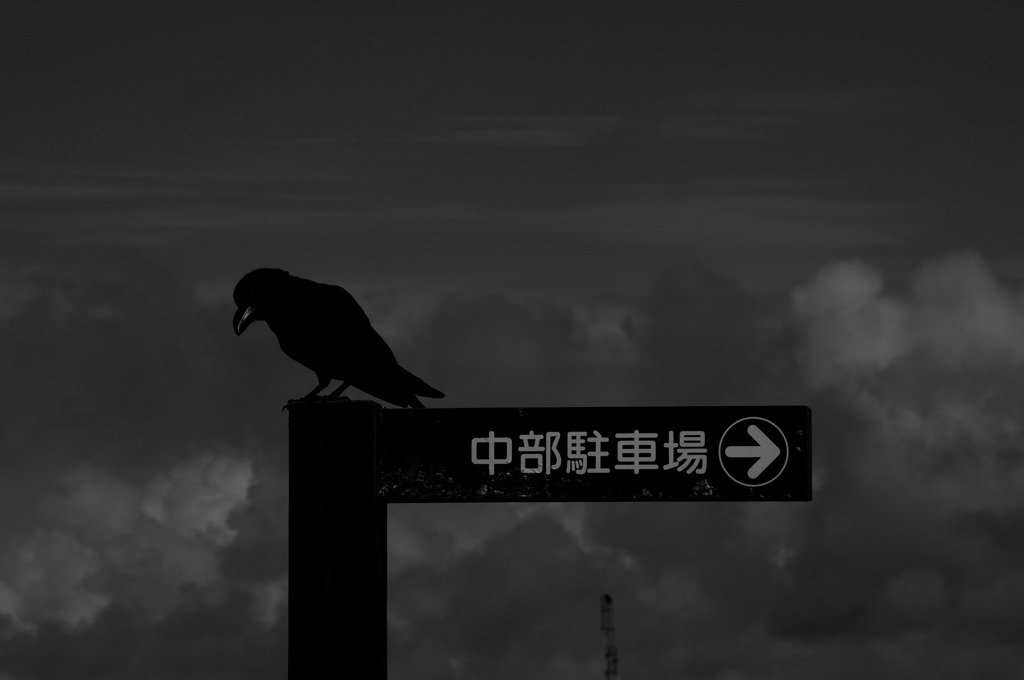 案内人