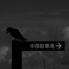 案内人