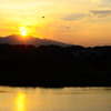 _DSC0364