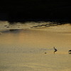 _DSC0365
