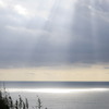 _DSC0435