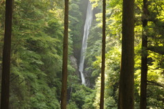 洒水の滝