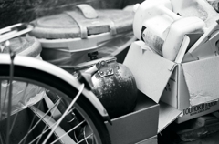 ゴミの中で光る