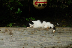 あちら？