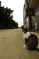 まだかなぁ～