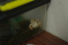 見てないで出してくれ！