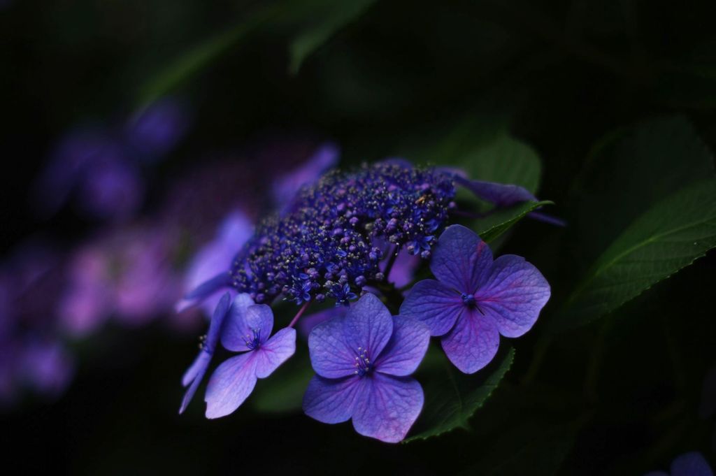 IMGP0900-2