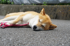 熱くないの？
