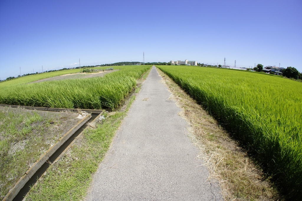 田舎の風景