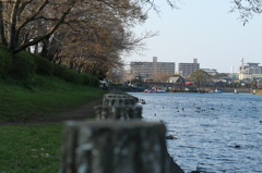 遊歩道