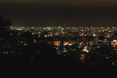 熊本の夜景