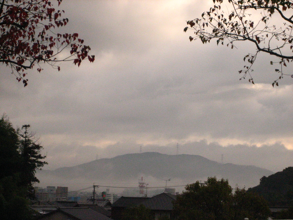 雨上がりの朝