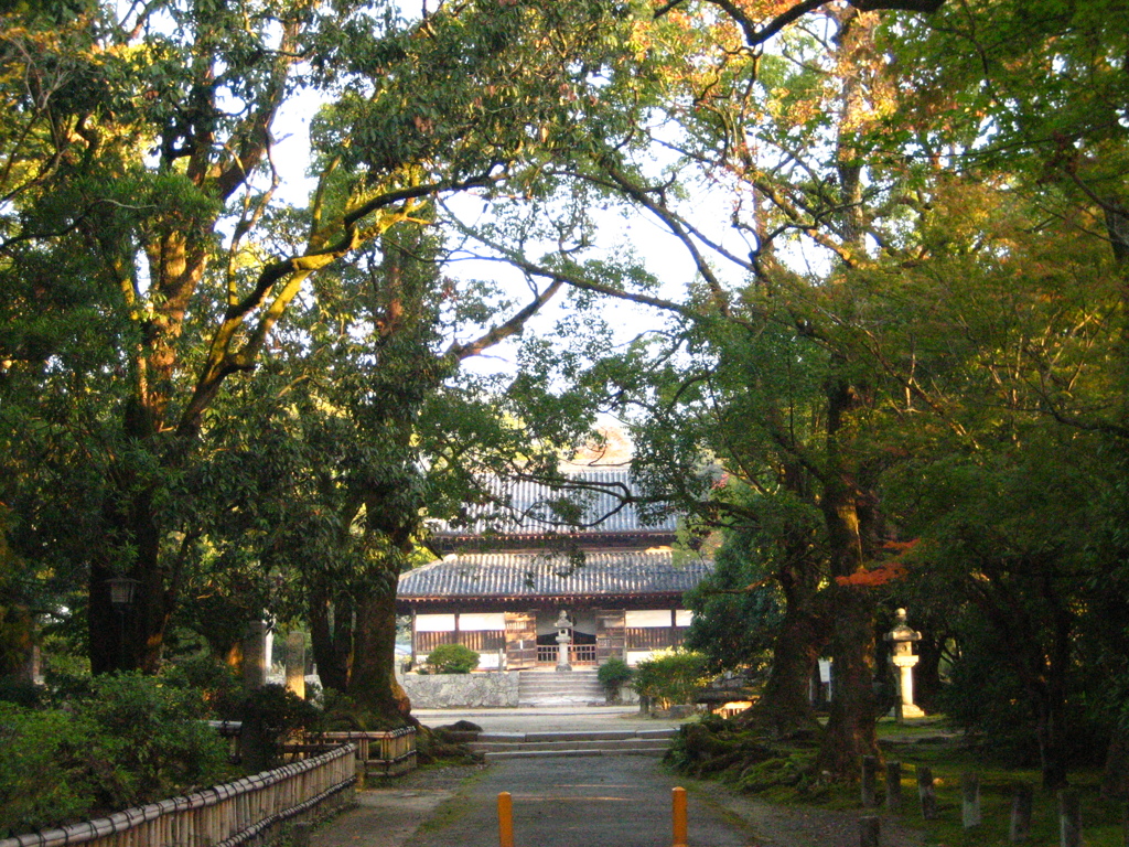 観世音寺参道