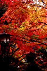 香川　八十八番　大窪寺