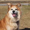 秋風と共に
