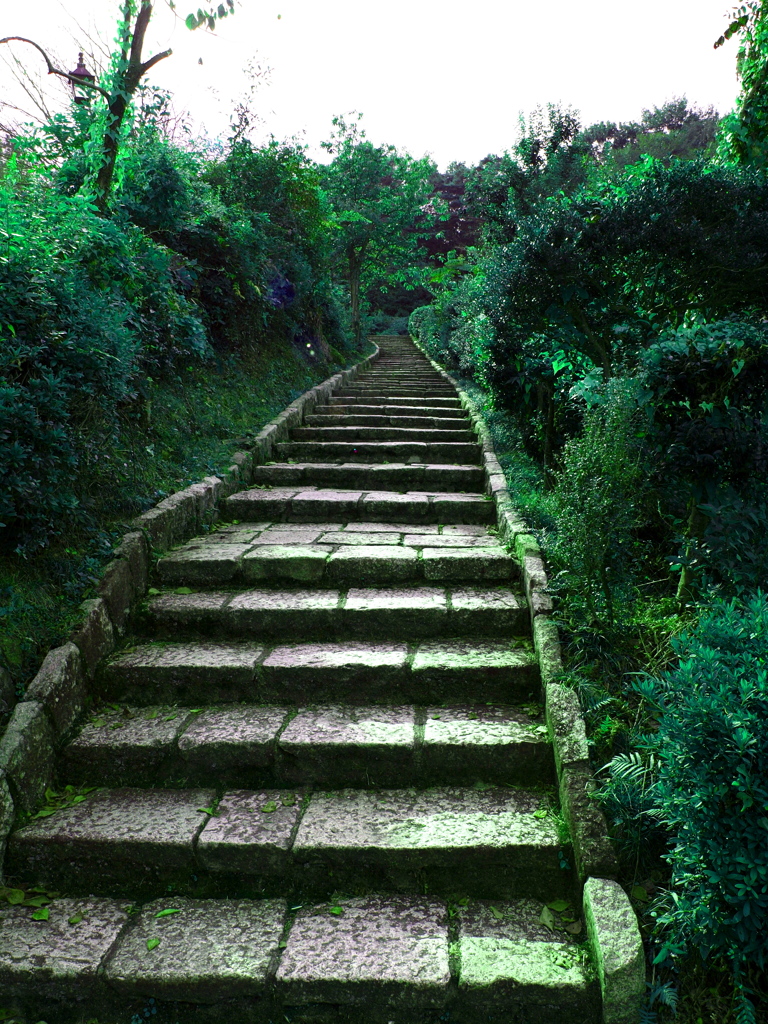 緑道