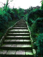緑道