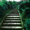 緑道