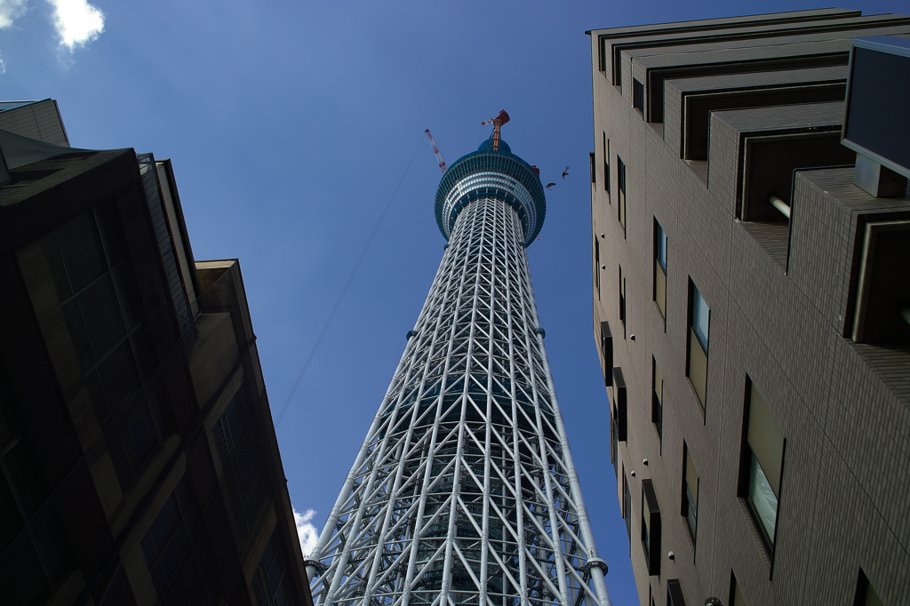 TOKYO SKY TREE