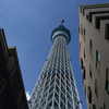 TOKYO SKY TREE