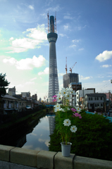 TOKYO SKY TREE