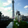 TOKYO SKY TREE