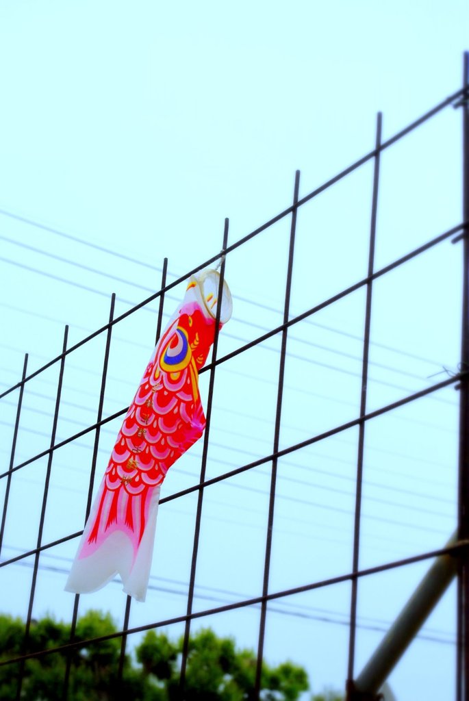 こいのぼり