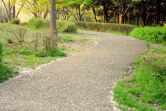 桜道２