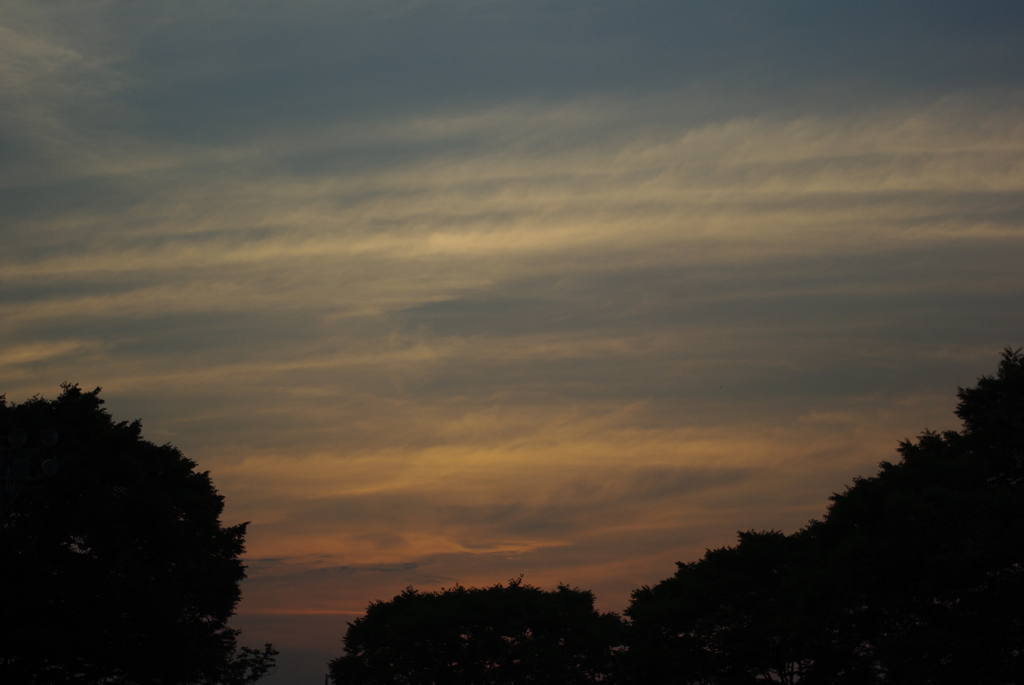 夕暮れ