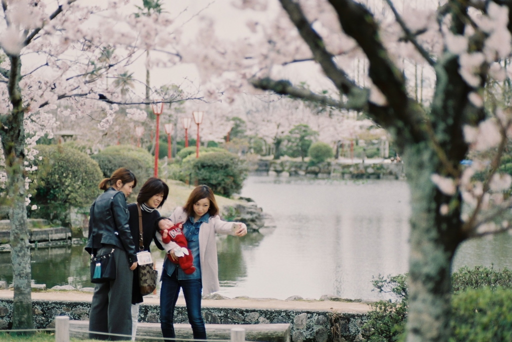 桜色の午後　＃３