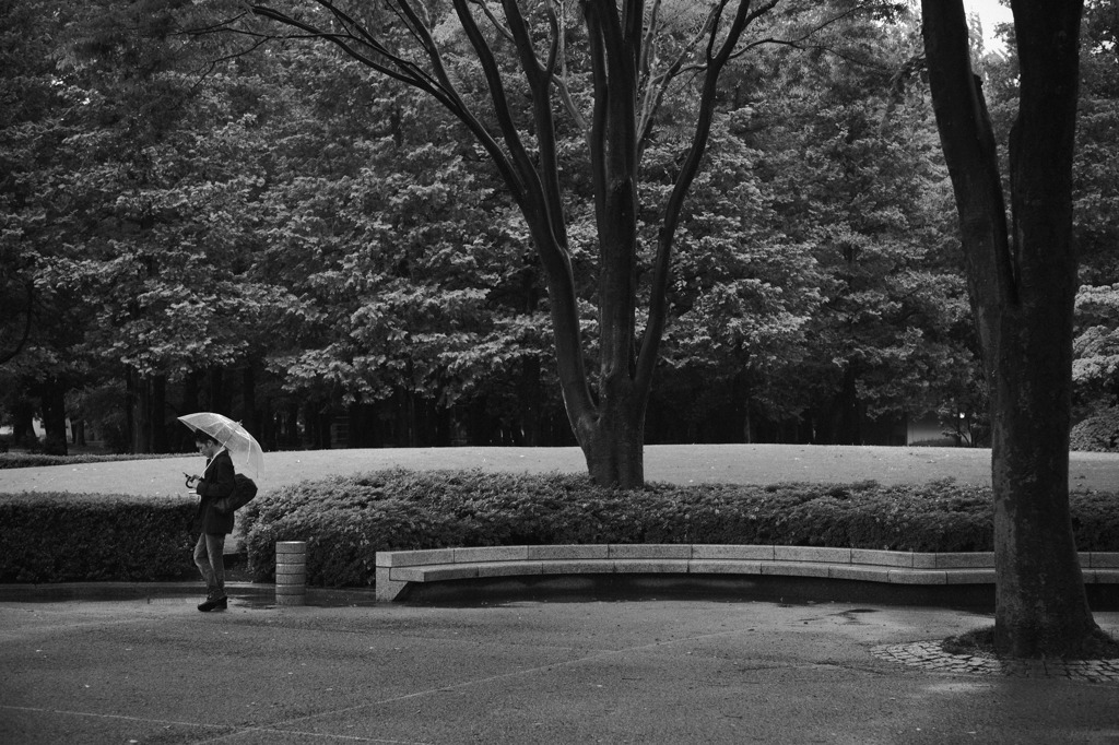 「公園、雨、ひとり」