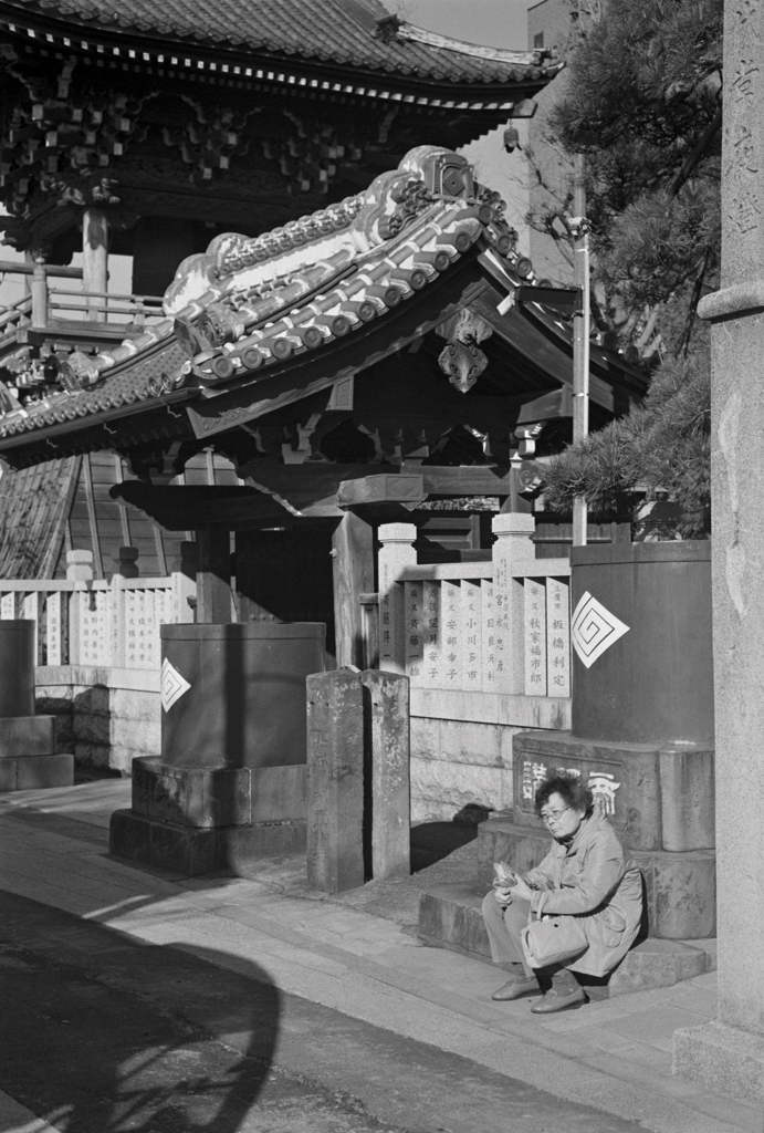 柴又＃８